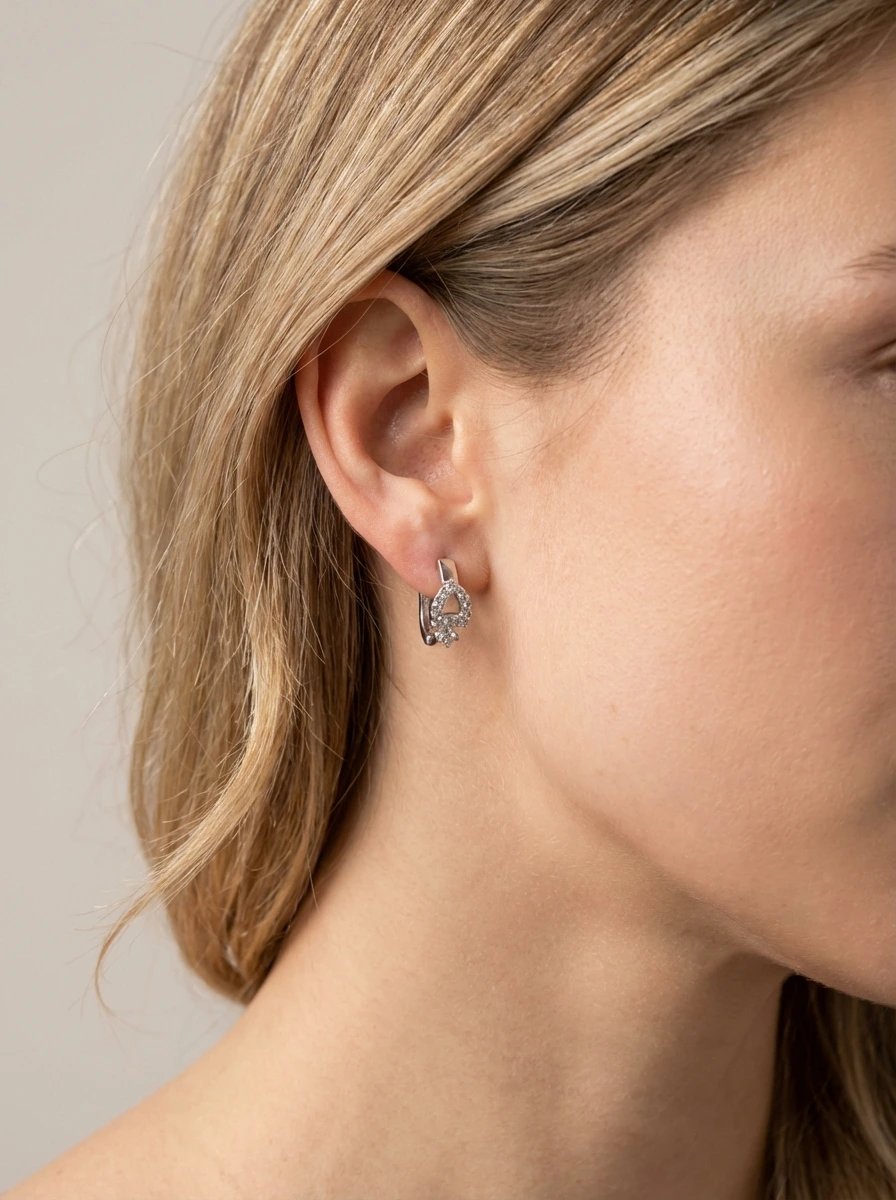 925 sidabro auskarai su cirkoniais 15 mm