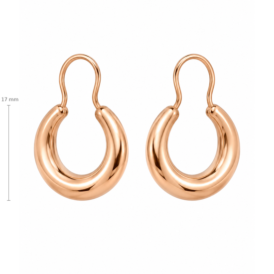 Auksiniai pusmėnulio formos auskarai – 17 mm
