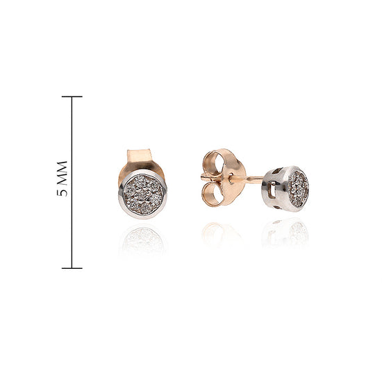 Auksiniai auskarai su 0,08 ct deimantais