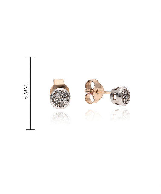 Auksiniai auskarai su 0,08 ct deimantais