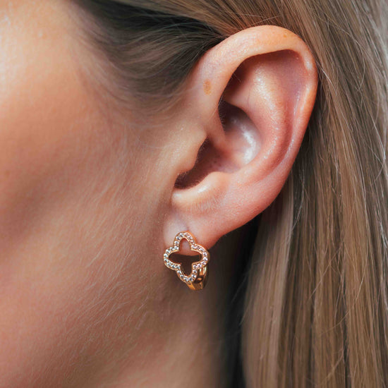 Auskarai su baltais akmenukais