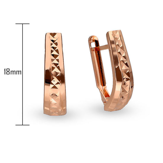 Briaunuoto dizaino auskarai