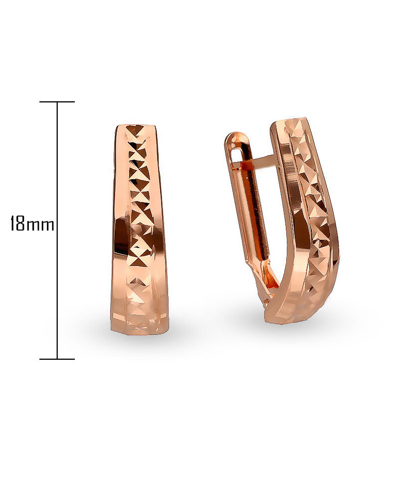 Briaunuoto dizaino auskarai