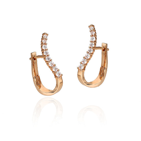 Auksiniai auskarai su akmenukais