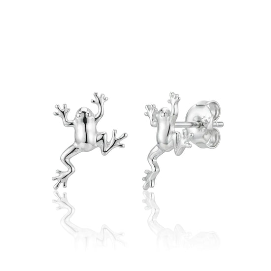 sidabriniai auskarai varlytės