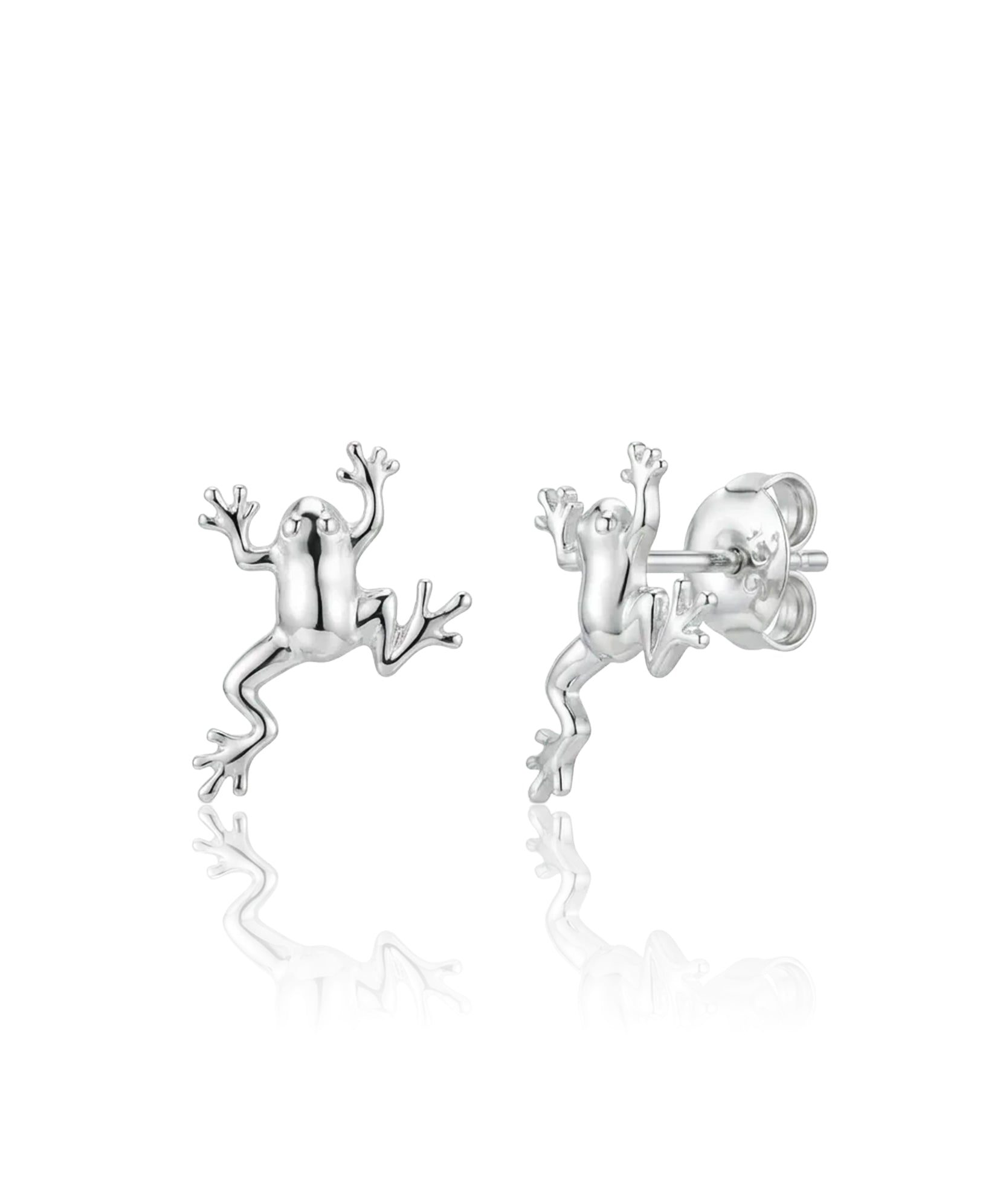 sidabriniai auskarai varlytės