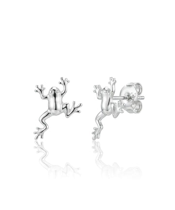 sidabriniai auskarai varlytės