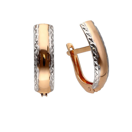 Dvipalviai auksiniai auskarai