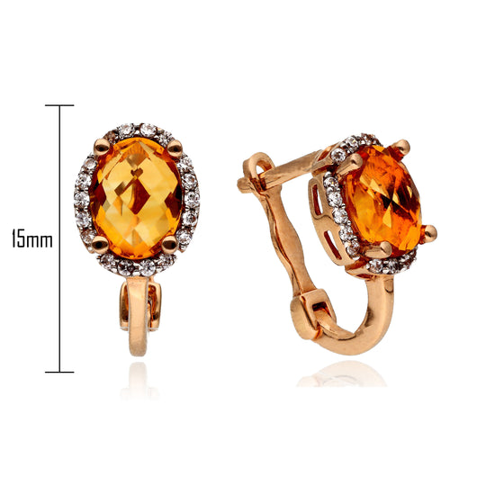 Ovalaus akmens auskarai