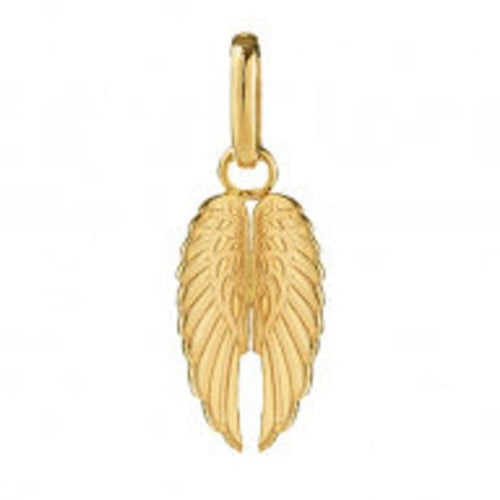Auksinis pakabukas dvigubi angelo sparnai